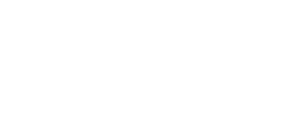 Digital Cyber Forensics-Logo