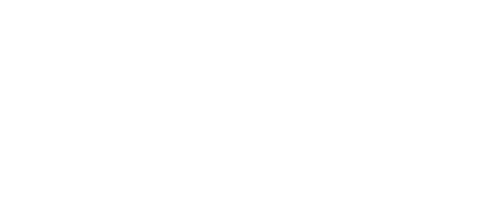 Digital Cyber Forensics-Logo